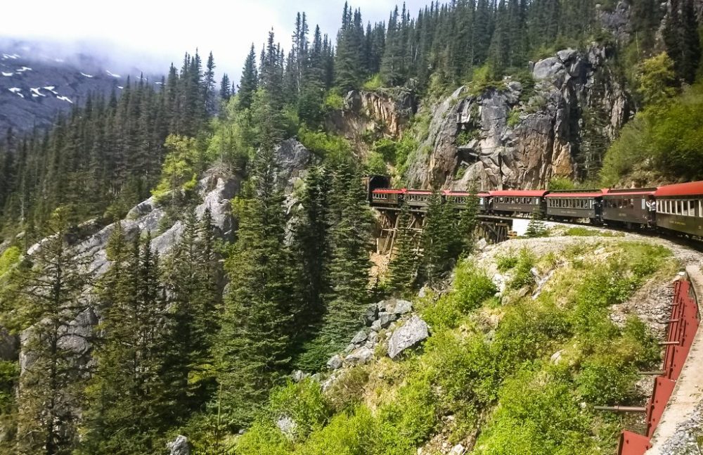 a train traveling down train tracks near a forest